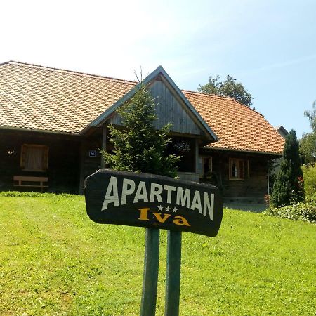 Apartment Iva Duga Resa Zewnętrze zdjęcie
