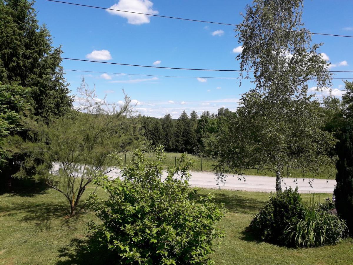 Apartment Iva Duga Resa Zewnętrze zdjęcie
