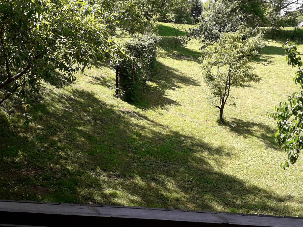 Apartment Iva Duga Resa Zewnętrze zdjęcie